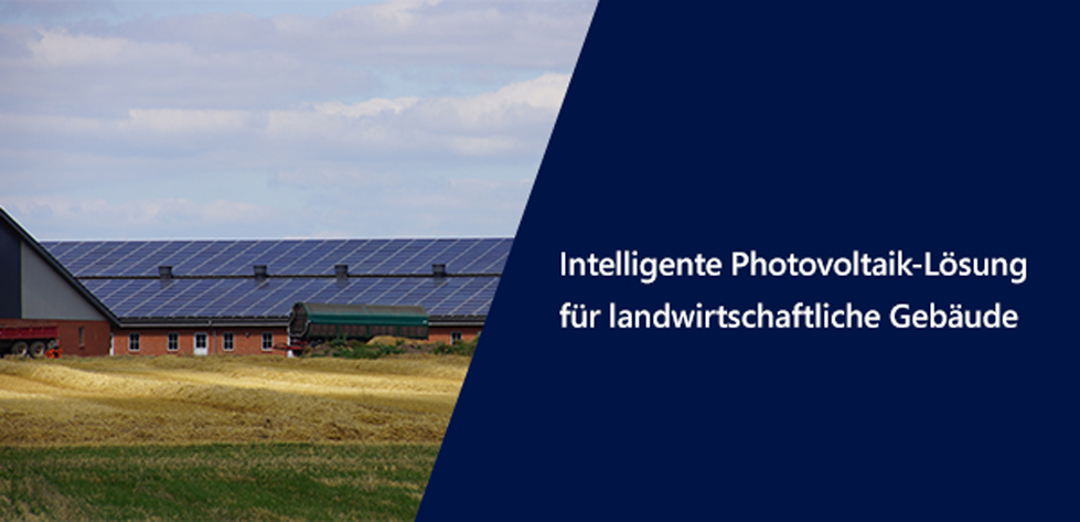 DACH - nologo_979 Farmer Landing Page