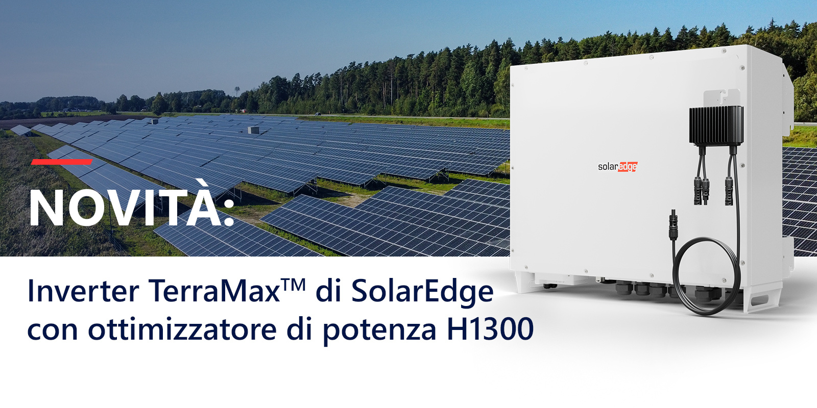 MKT-2495 TerraMax Newsletter in Hubpost 01 (Flavia Favaretto) 03.09.24